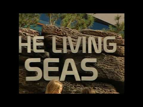 2005 Walt Disney World  "The Happiest Celebration On Earth" Vacation Planning DVD in HD - Part 3/15