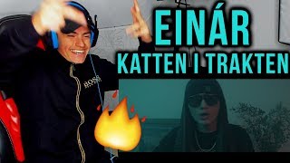 (REAKTION) Einár - Katten i Trakten (Official Music Video)