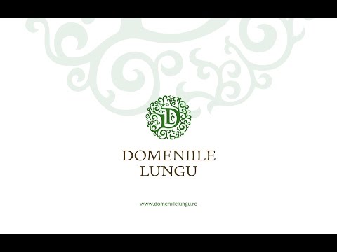 Hotel La Domenii, Iasi