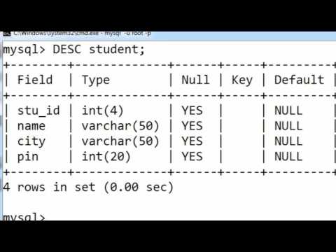 16 INSERT INTO without specifying Column Name in SQL Hindi