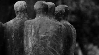 El sonido y la furia