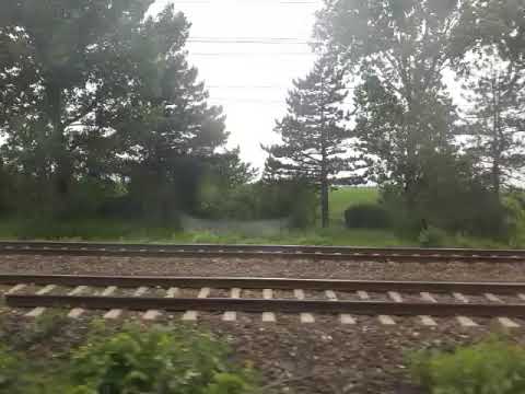 2020-(06)-(06) Bucuresti Nord Ploiesti Sud Bucuresti Nord 103INTRE BRAZI SI PLOIESTI TRIAJ PRIN GEAM