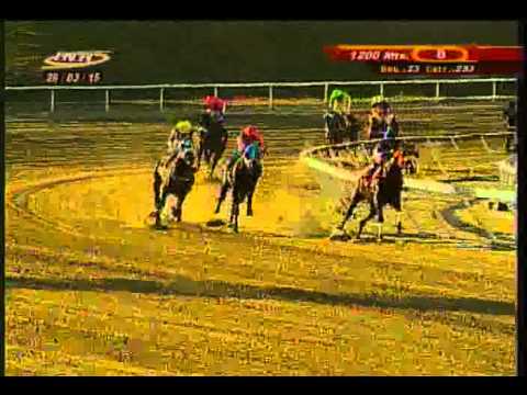 Resumen Sábado, 28 de Marzo de 2015 - La Rinconada