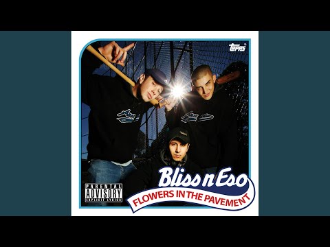 Watchdog Water Dragons