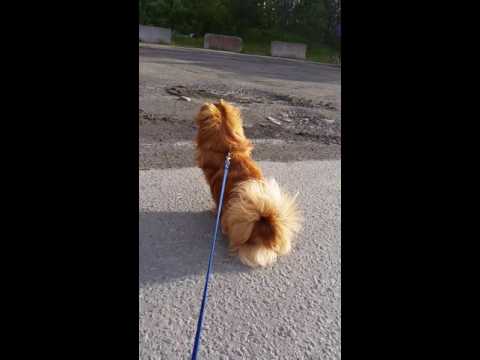 På tur i Småbåthamna i Tromsdalen.