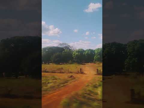 Pelas estradas de Tabaporã-MT
