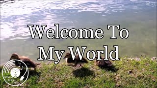 Welcome To My World w/ Lyrics - Jim Reeves Version