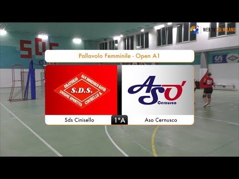 Sintesi Sds Cinisello - Aso Cernusco