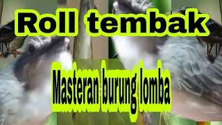 Download lagu Roll tembak cigun dan suara gemericik air||masteran burung juara mp3 Download lagu Roll tembak cigun dan suara gemericik air||masteran burung juara mp3