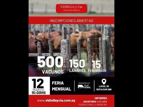 12/03/2026   Feria mensual - Vidiella y Cia / Local 33 en la calera - Treinta y Tres | Clic Rural