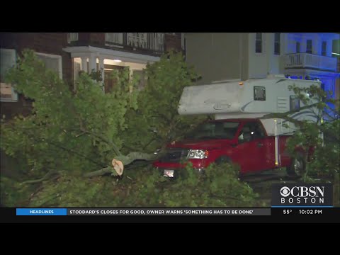 Strong Winds Bring Down Trees Across Mass.