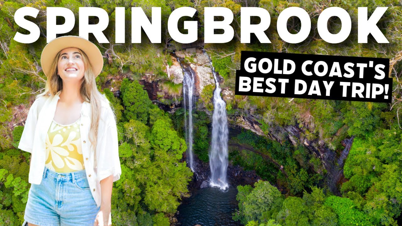 A duo embarks on a captivating visit to Springbrook National Park.
