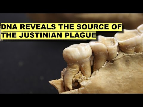 Alte DNA enthüllt endlich die Quelle der Justinianischen Pest – und warum sie so tödlich war!