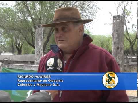 RICARDO ALVAREZ - Cabaña: Don Romeo - Olavarría - 25/10/2013