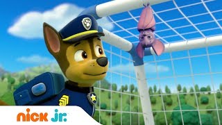 Щенячий патруль - Хороший спортсмен