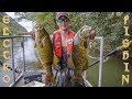 Electro Fishing Study w/ the VDGIF - BIG Muskies BIG Smallmouth