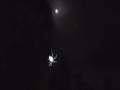 Spider night 3