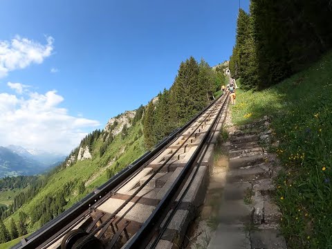 Full POV Run – Niesen Treppenlauf 2025 | Overtakes, Traffic Jams & Epic Finish View!