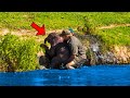 After a Man Saved a Drowning Baby Elephant, The Herd Turned Around and Did This...
