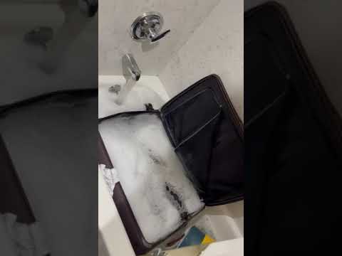 ITA Airways - Lost baggage and bad customer service - Image 7