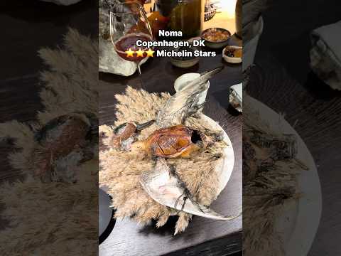 Eating a Whole Duck at the World’s Best Restaurant: 3 Michelin Star Noma in Copenhagen Denmark