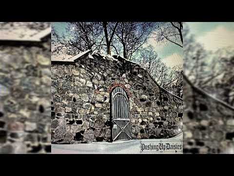 BONES & Deergod - Cracked (prod. Deergod)