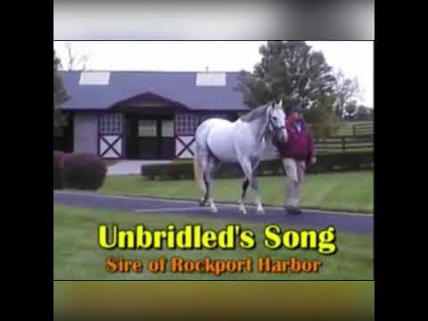 YOU CAN SEE ME IN A CROWN 👑 UNBRIDLED SONG