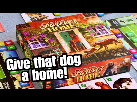 Forever home, what is it about?