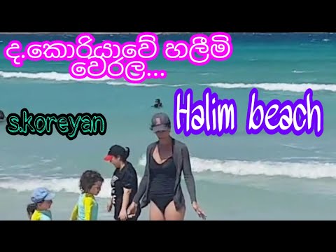 S.koreyan jeju Halim butyfull beach