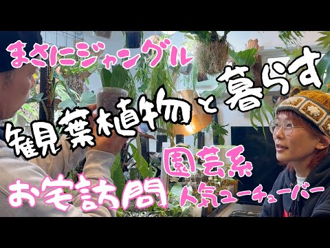 レフコジェン 植物