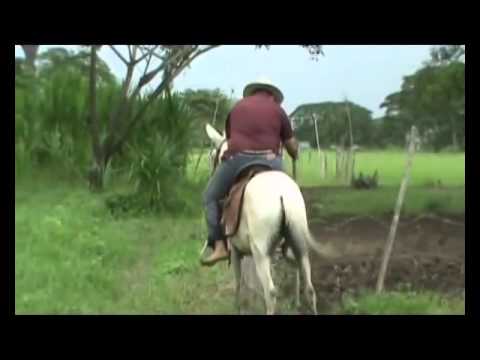 Tigrito de Mata Negra BORRACHO Y HABLANDO SOLO
