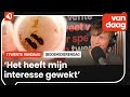 (Bodem)dierendag: Tom heeft sinds kort de mier als huisdier
