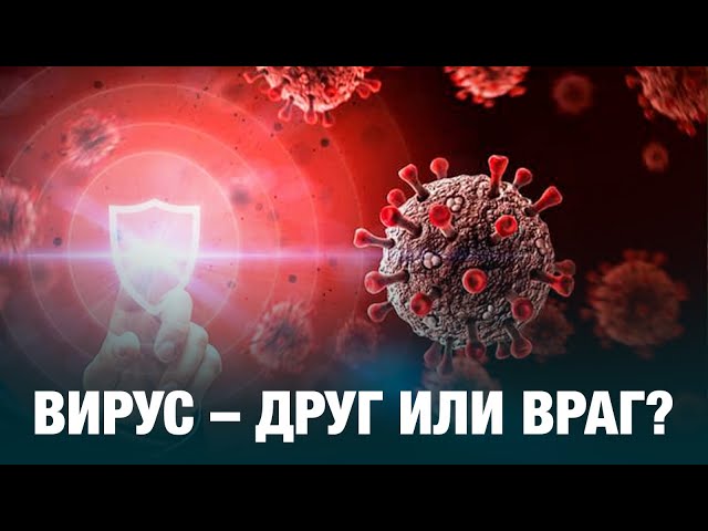 Вирус – друг или враг?