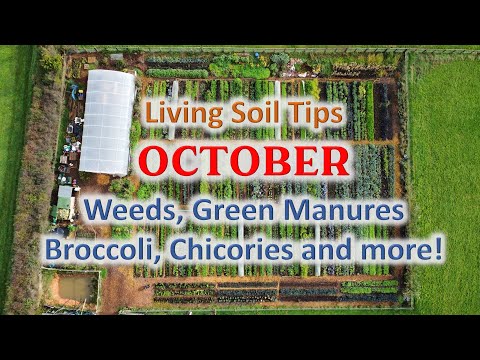 , title : 'No-Dig Gardening Seasonal Tips - October'