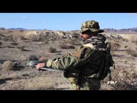 Wasp AE SUAS demonstration