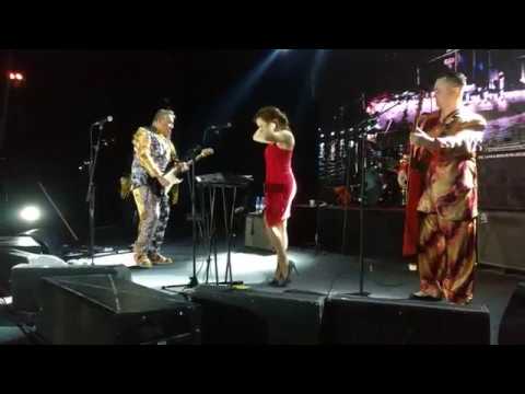 Red Elvises — Closet Disco Dancer