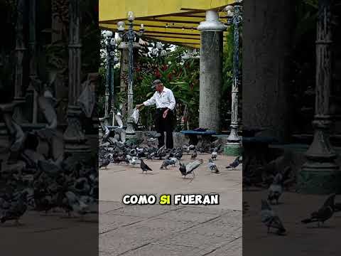 Entre palomitas, recuerdos y tradición: así se vive Armenia #seteniaquedecir