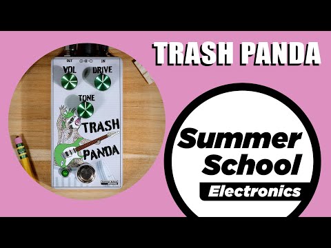 Summer School Electronics Trash Panda image 2