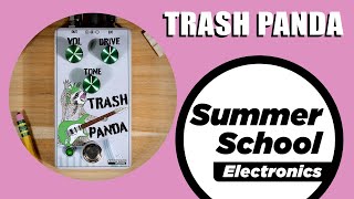 Video thumbnail for Trash Panda Demo | Summer School Electronics by Summer School Electronics
