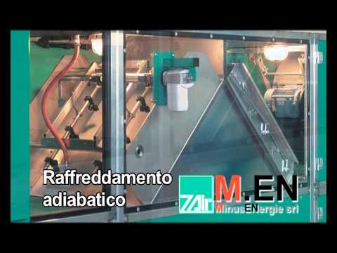 Come aglio su influenze di vermi Da dove i vermi possono uscire