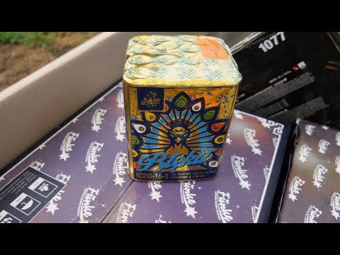 Iskra Line (Funke) - Btekit (Neuheit 2021/2022) Batch 2020 (Top!)