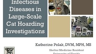 Infectious Diseases in Large-Scale Cat Hoarding Investigations