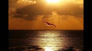 O Vento - Jota Quest