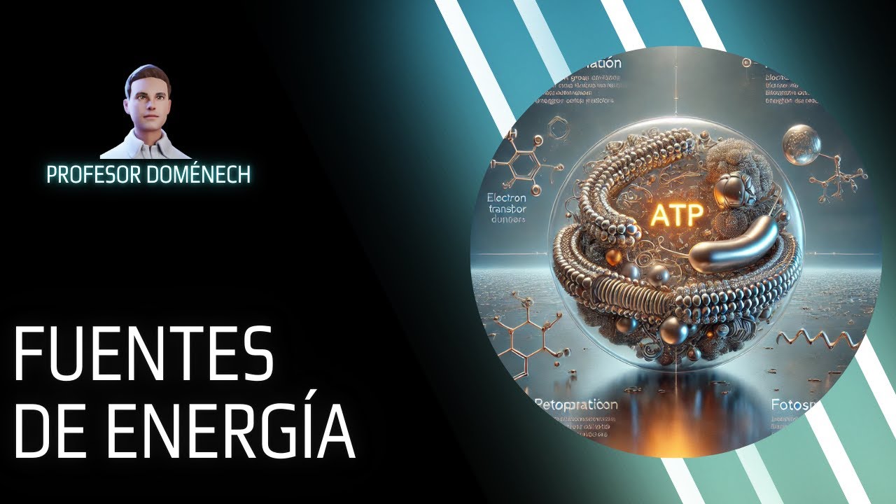 COMO CONSIGUEN LA ENERGIA LAS BACTERIAS en 5 min