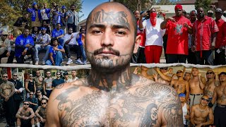 12 Most Dangerous Gangs That Are Currently Active In Los Angeles