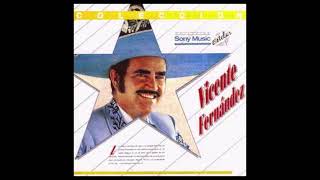 Colección Estelar 1993   Vicente Fernández, 20 Exitos