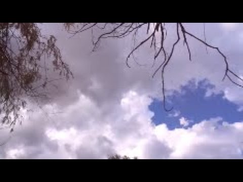 Tangerine Dream - You're Always On Time.