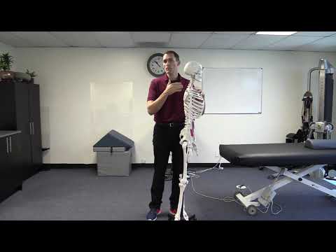 Can't Touch Your Toes?  Stop Stretching Your Hamstrings! - Watch First