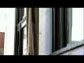 Faunts - It Hurts Me All the Time (official video) - 54 Faunts - It Hurts Me All the Time (official video)