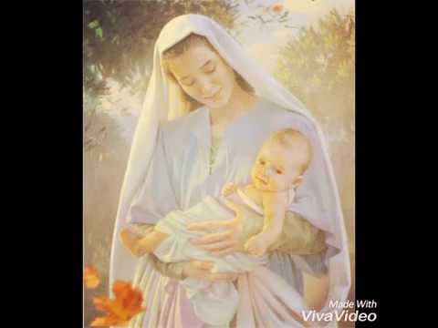 A Escolhida- Maria Cheia de Graça e consolo.